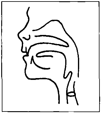 8.1 Labio-Dental Fricatives /f，v/